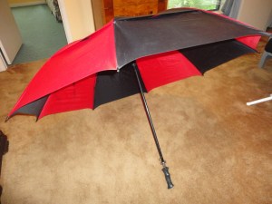 What I thought was in the trunk