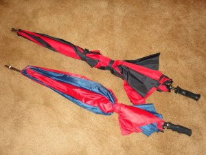 We have two similar umbrellas